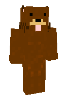 Скин по нику rawrioio
