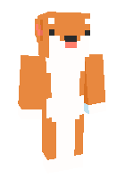 Скин по нику rigamortis