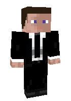 Скин по нику ripcat
