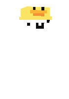 Скин по нику roanapurs