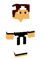 Скин по нику robin_Todd