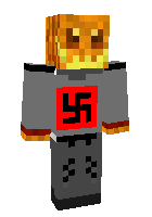Скин по нику robotnic