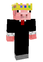 Скин по нику robow