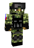 Скин по нику roman107