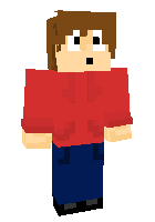Скин по нику rubybrain