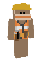 Скин по нику ryantn100