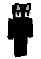 Скин по нику s3nnqk