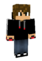 Скин по нику sandixgamer