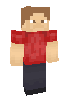 Скин по нику seantheawesome