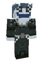 Скин по нику shadowguy27