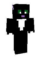 Скин по нику shadowthecat100