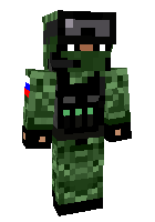 Скин по нику shasandro