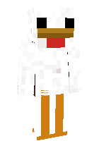 Скин по нику shrubi