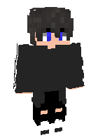Скин по нику shunks
