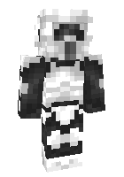 Скин по нику shyguy