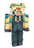 Скин по нику silentsaltcookie