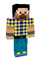 Скин по нику skark