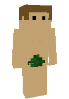 Скин по нику skinnn