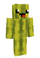 Скин по нику sky_wars