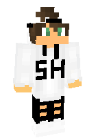 Скин по нику skytheboy