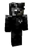 Скин по нику skywarsclips
