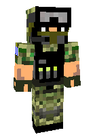Скин по нику snail22