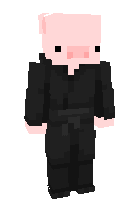 Скин по нику snfr