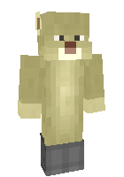 Скин по нику snow_cat