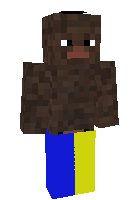 Скин по нику snowyy71