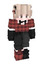 Скин по нику sokol_yt