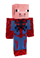 Скин по нику spider_pig12345