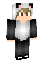 Скин по нику spikegames