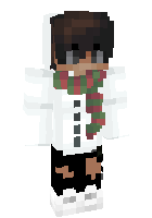 Скин по нику ssidd