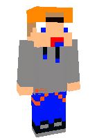 Скин по нику stupidguy
