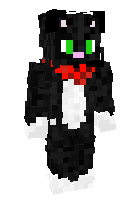 Скин по нику swedencat