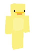 Скин по нику t1pchix