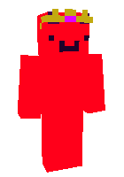 Скин по нику teddybrrmage