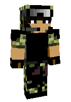 Скин по нику terrorist2