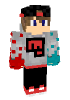 Скин по нику thebestgamings