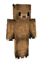 Скин по нику thecrafter101