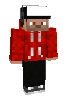 Скин по нику thelyfe21