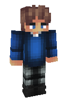 Скин по нику timoncraft