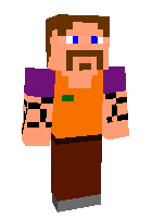 Скин по нику timsbrokencamera