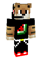 Скин по нику tntcrafter7003