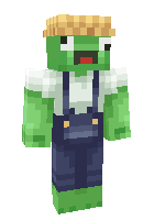 Скин по нику toad_