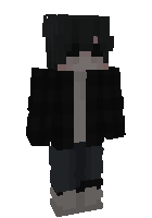 Скин по нику toxicvanessa