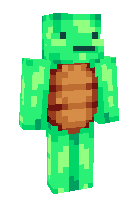 Скин по нику turtle