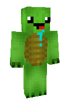 Скин по нику turtle1234