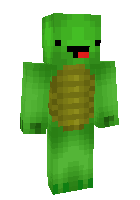 Скин по нику turtleboy02