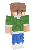 Скин по нику turtleboy11